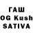 Каннабис OG Kush Rosimery Quintino
