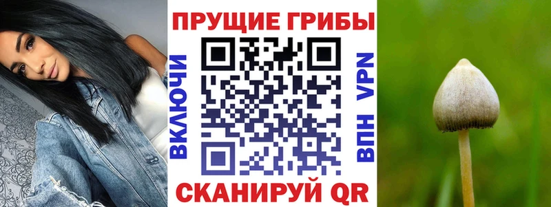 Галлюциногенные грибы ЛСД Купить Екатеринбург